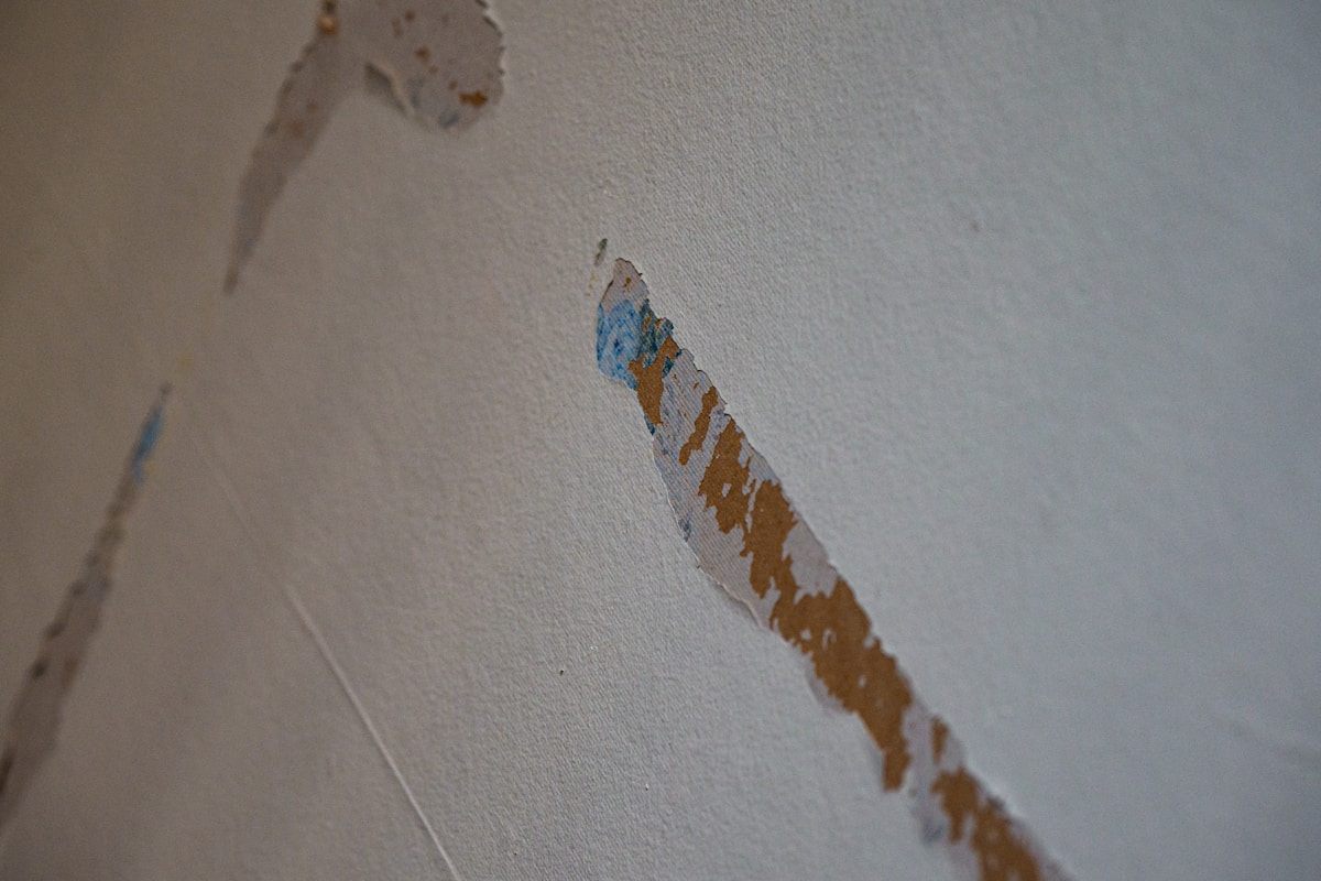 Commercial Water Damage service in Elyria, OH